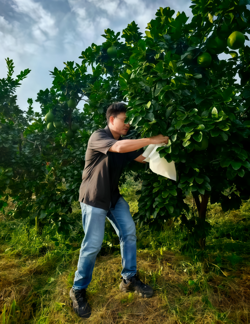 南方医科大学原创科研成果登上 Science 封面