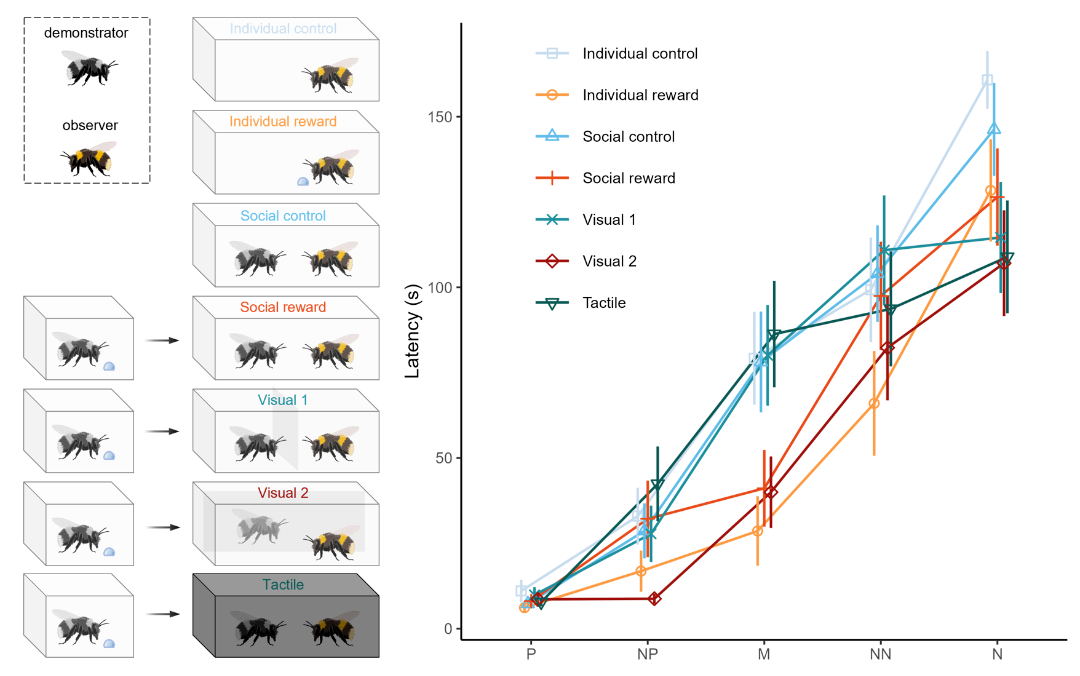 南方医科大学原创科研成果登上 Science 封面