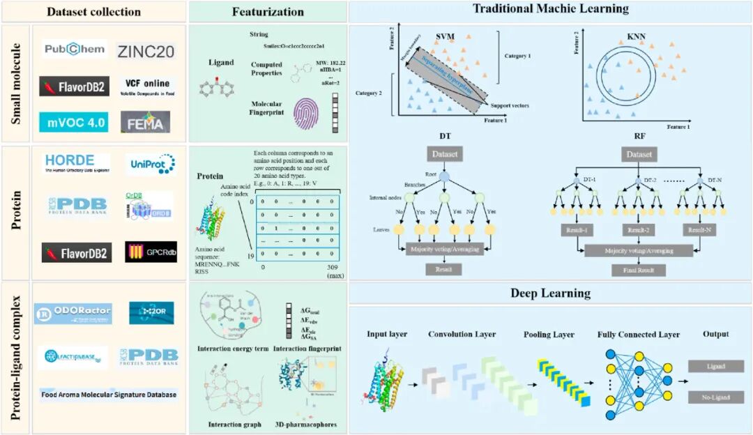 曹雪涛院士、陆林院士、董家鸿院士、印遇龙院士、董晨院士、谢剑平院士等多个团队发表最新研究