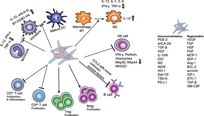 一文详解 CGT 技术