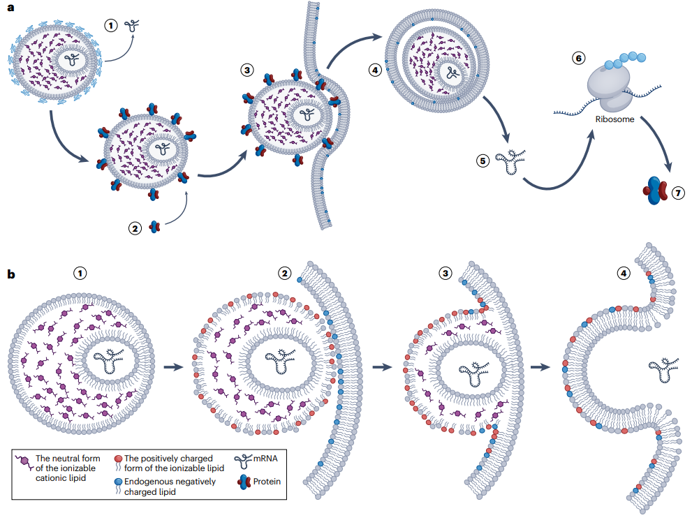 一文详解 CGT 技术