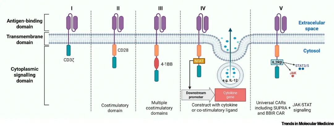 一文详解 CGT 技术