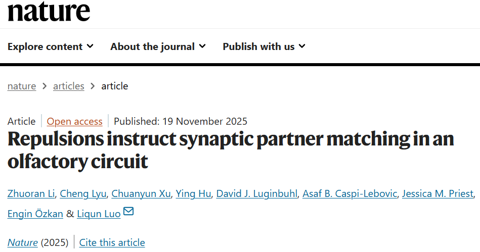 Nature 背靠背：骆利群院士团队实现神经环路重编程 | 一作之一已回国加入西湖大学