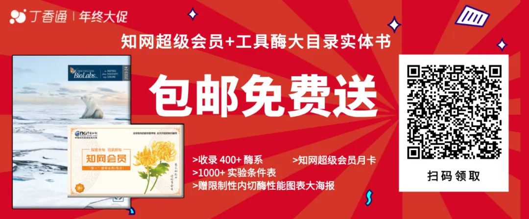 抹除大脑「创伤记忆」？电子科技大学/四川大学华西医院揭示抑郁症反复发作关键机制！