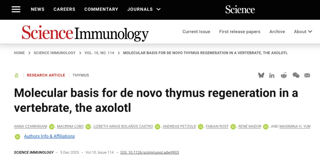 首都医学科学创新中心里程碑式研究:首个脊椎动物胸腺实现完全再生