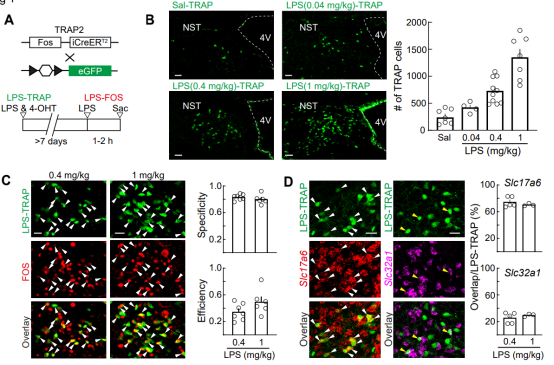 终于可以睡个好觉了!颜宁院士「超级喜欢」的她,发布睡眠领域最新进展