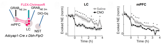 终于可以睡个好觉了!颜宁院士「超级喜欢」的她,发布睡眠领域最新进展