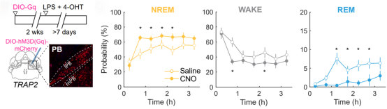终于可以睡个好觉了!颜宁院士「超级喜欢」的她,发布睡眠领域最新进展