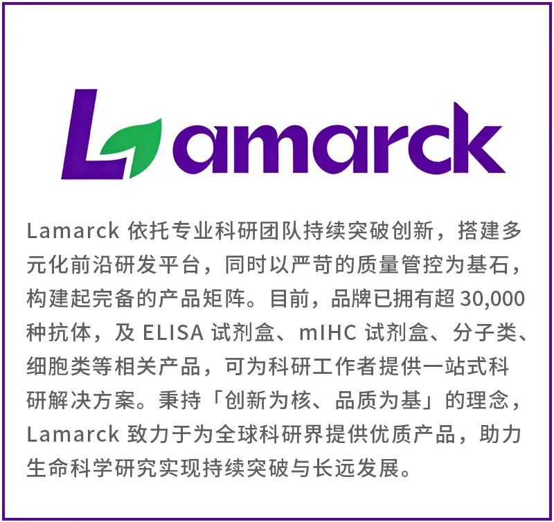 新闻图片5