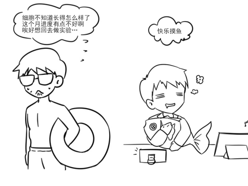 新闻图片6
