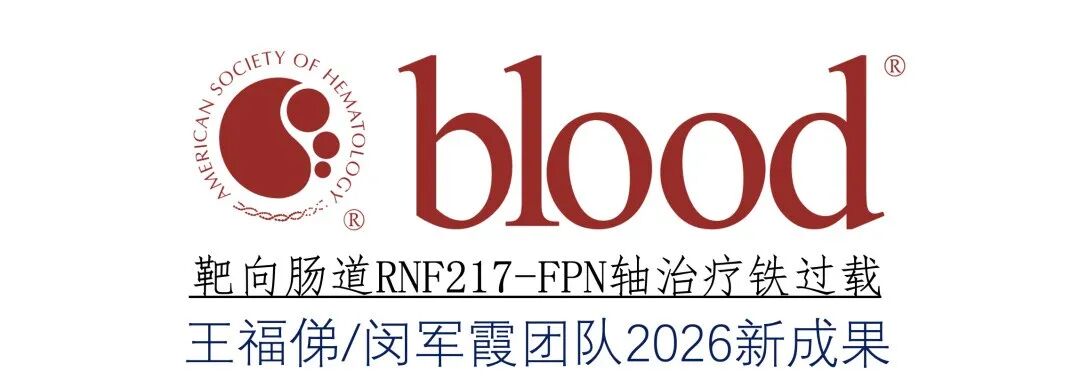 新闻图片1