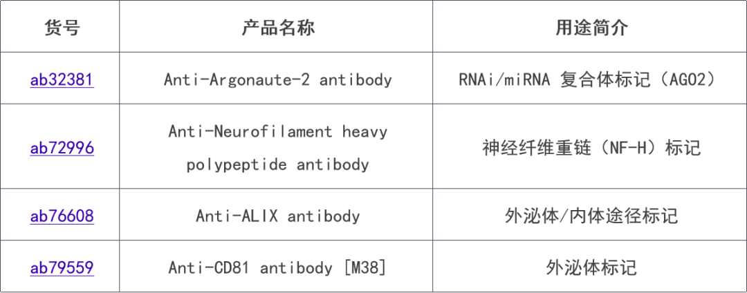新闻图片19