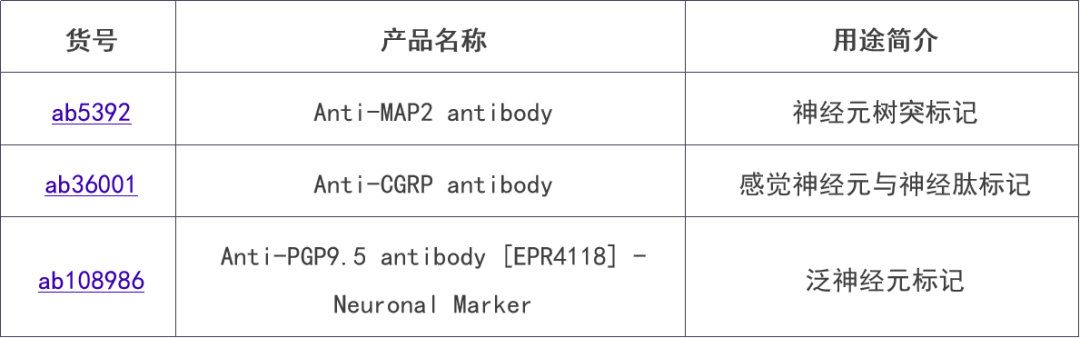 新闻图片11