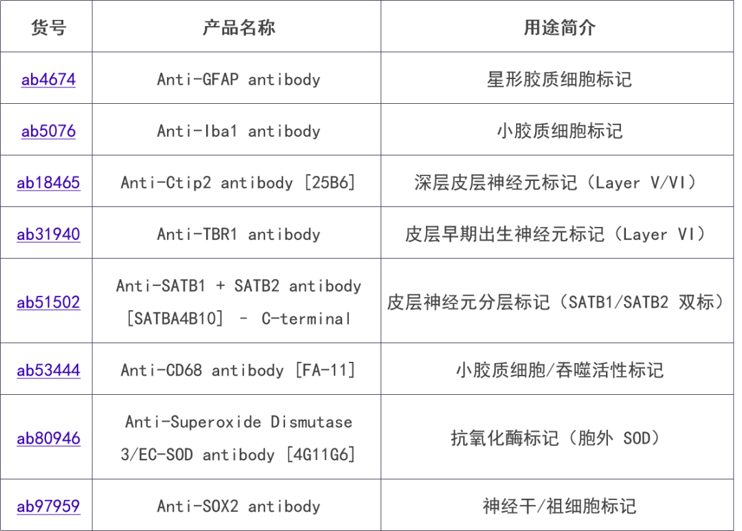 新闻图片3