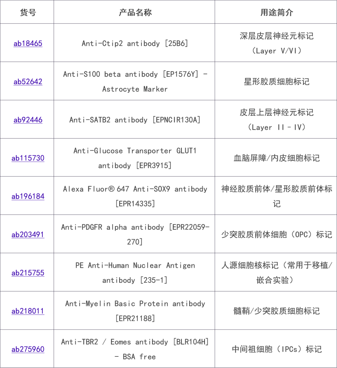 新闻图片5