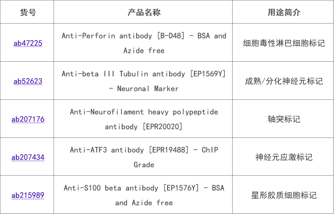 新闻图片9