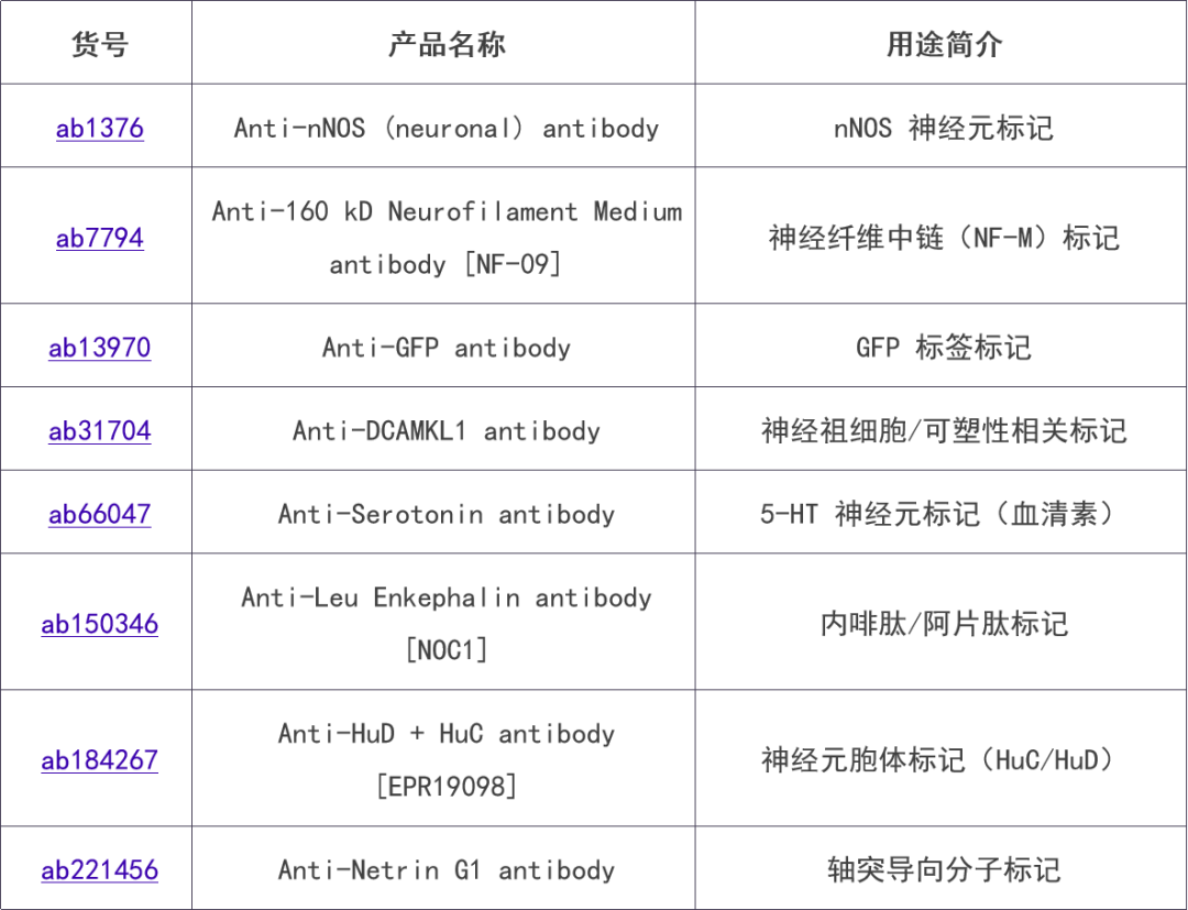 新闻图片13