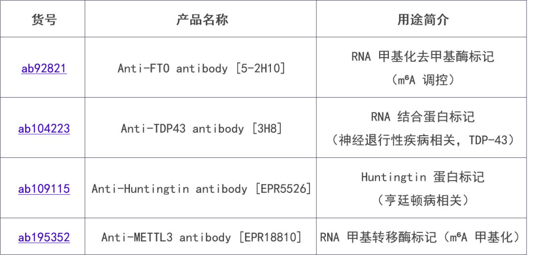 新闻图片21