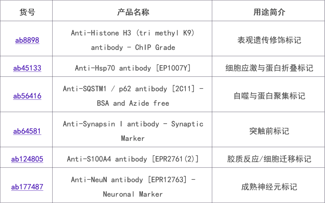 新闻图片7