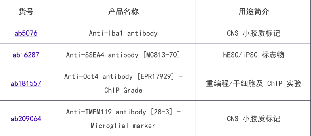新闻图片17