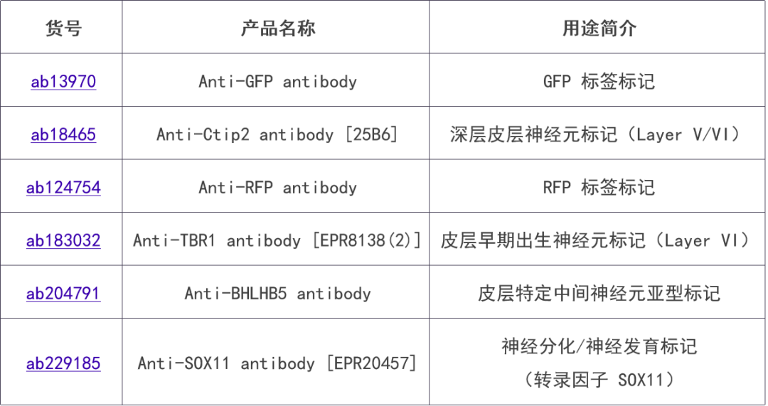 新闻图片15