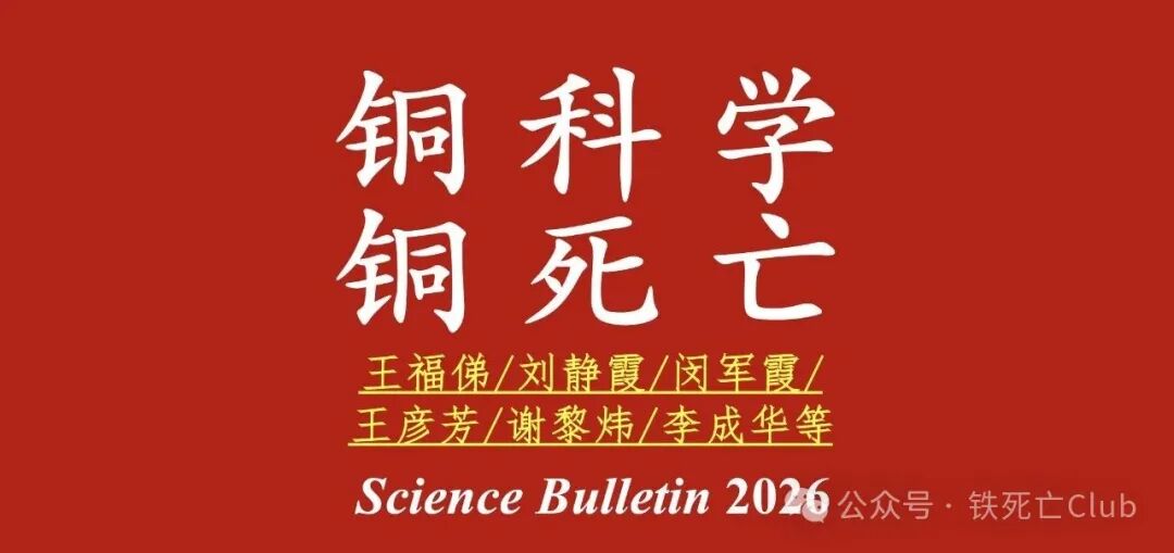 新闻图片1