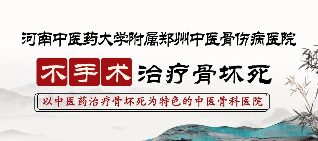 筑牢从医根基!我院为百余名河南中医药大学见习生开展系统化岗前培训