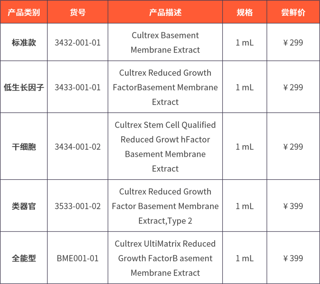 新闻图片3