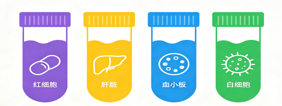 抽血会导致贫血吗?让我们聊一聊采血的真相