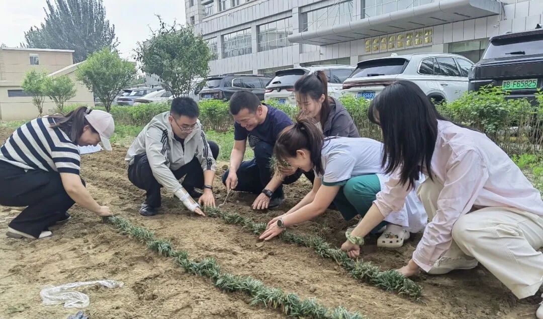 党建引领添新绿，党群共建美院区！包头市肿瘤医院外系第二党支部、党委办公室党支部联合开展绿化美化志愿活动