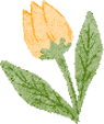 【二附院医生说】保护生育力，是对自己最长久的健康投资