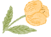 【二附院医生说】保护生育力，是对自己最长久的健康投资