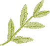 【二附院医生说】保护生育力，是对自己最长久的健康投资