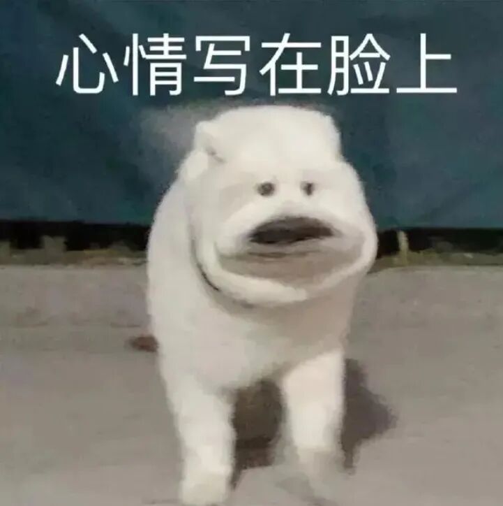 「我爱我」，却恨每一口饭：那些不敢吃、吃不下的年轻人