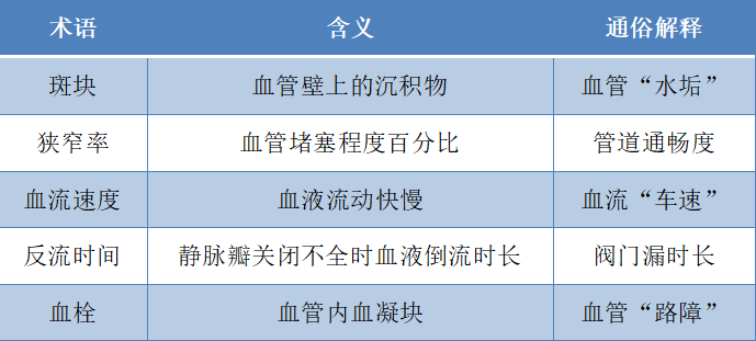 【超声科普】下肢血管超声检查:洞察腿部健康的「透视眼」
