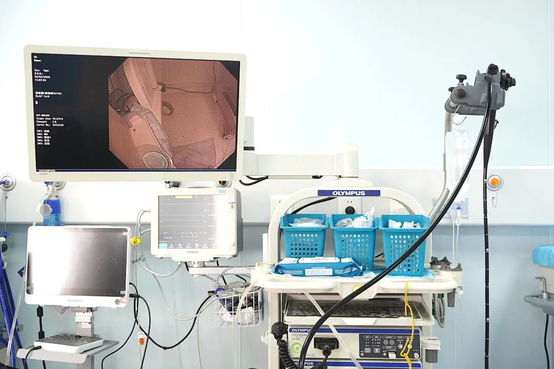 家门口的「消化道健康防线」升级了——湖北省第三人民医院阳逻院区全新消化内镜中心启用
