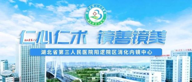 家门口的「消化道健康防线」升级了——湖北省第三人民医院阳逻院区全新消化内镜中心启用