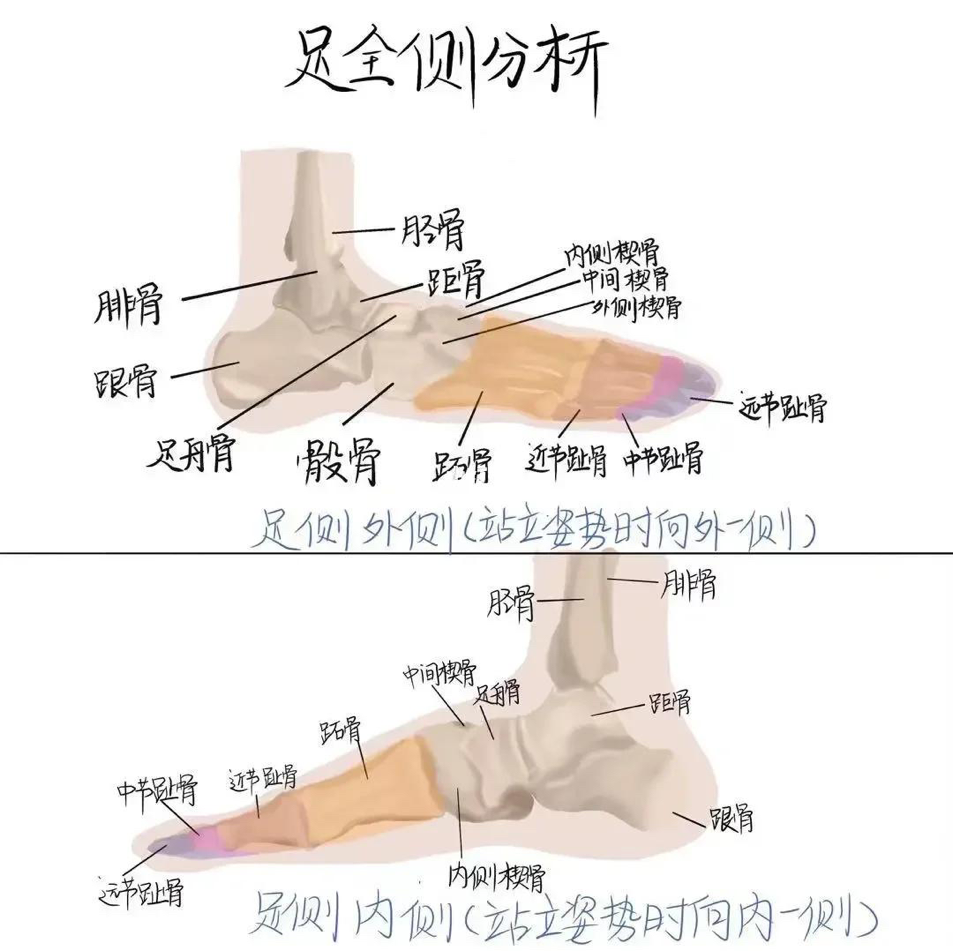 5·29 全国爱足日|好好爱脚,步履方能从容向阳