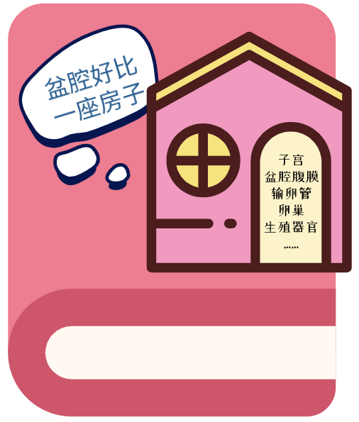 「笑尿了」？这可不是一句玩笑话！是你的盆底肌正在「求救」！