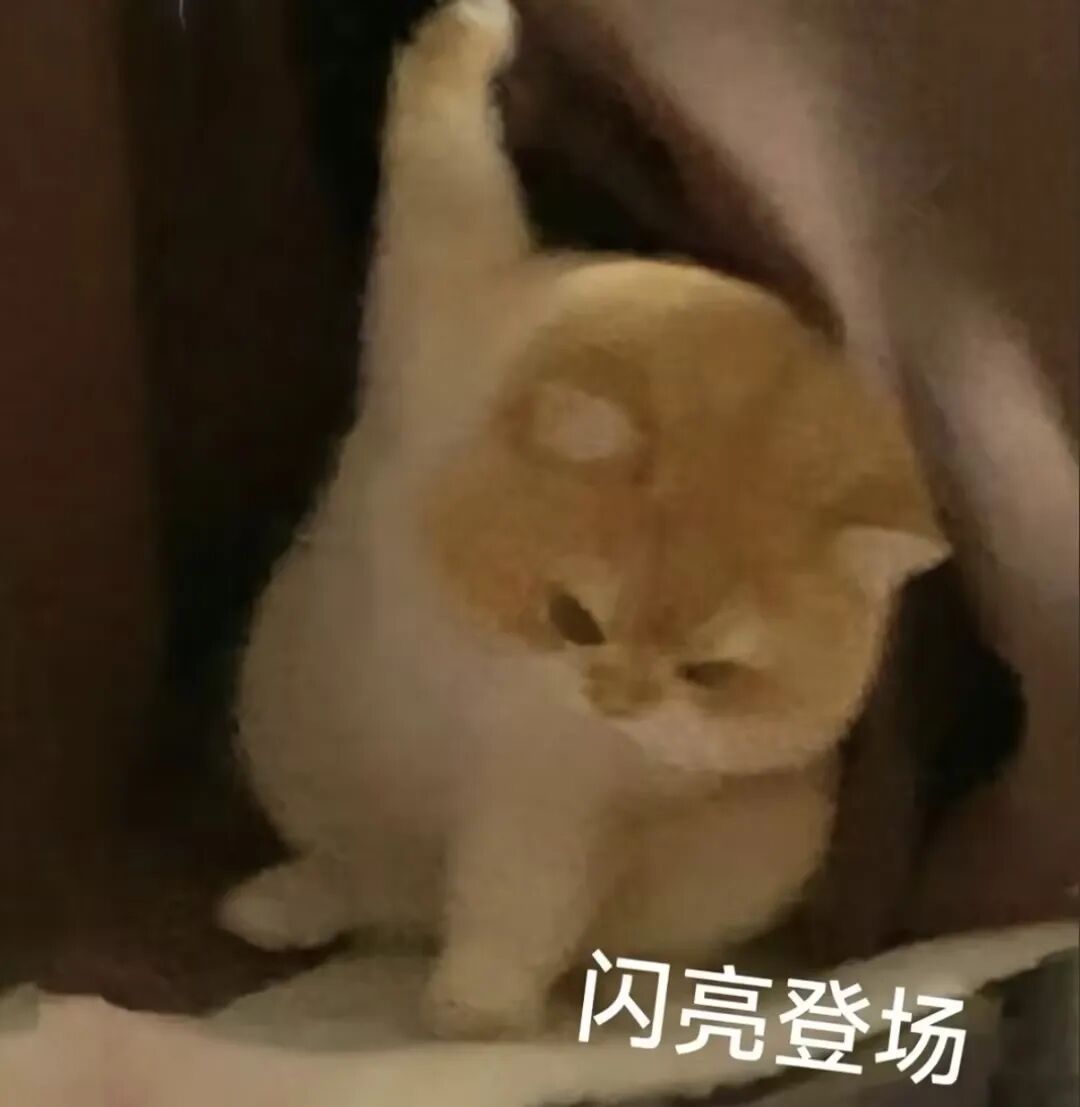丁丁要想「好使」,必须从「小」挨一刀?