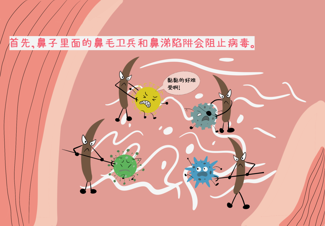 一场看不见的战争：手绘揭秘流感攻防战→