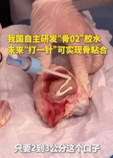 新闻图片1