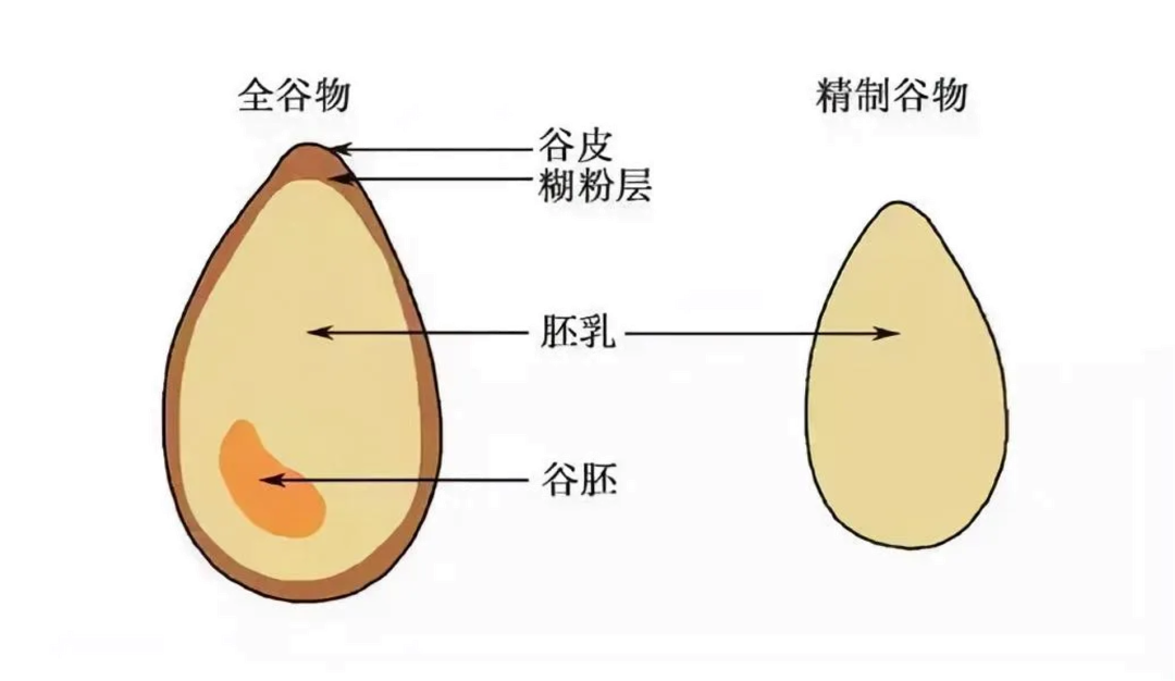 把全谷物吃对，主食也能越吃越健康！