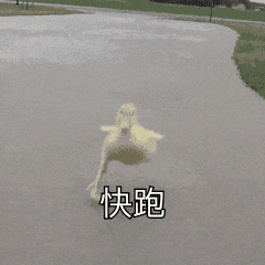 心脏突然「咯噔」一下?警惕!这是早搏的求救信号
