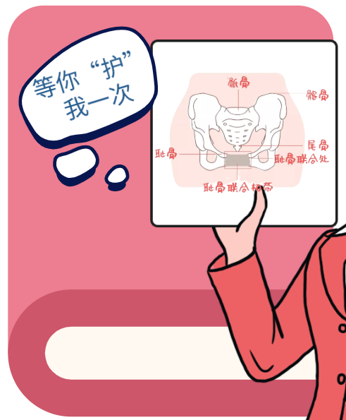「笑尿了」？这可不是一句玩笑话！是你的盆底肌正在「求救」！