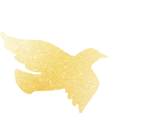 用心用情讲好二附院故事!我院召开 2026 年宣传工作会议暨新闻培训班