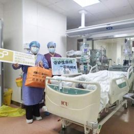 「应急关爱包」解燃眉之急，医社联动传递温暖力量