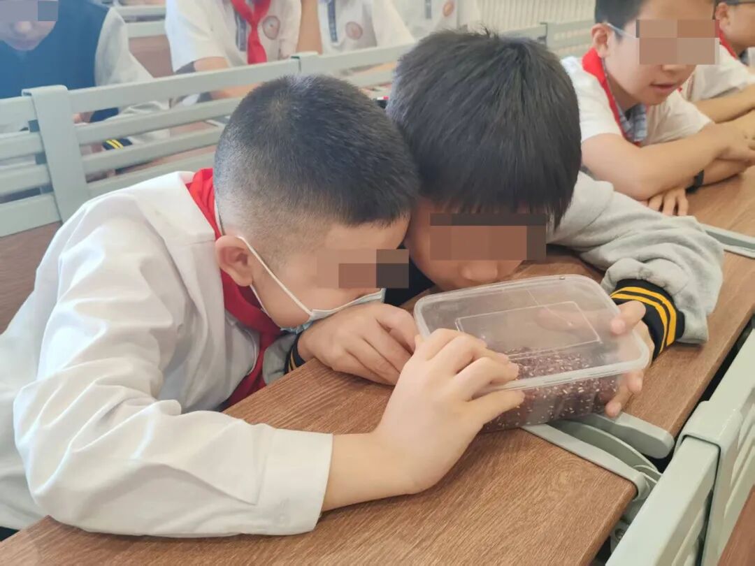 健康护航少年成长:中医科普走进延安市新区第二小学