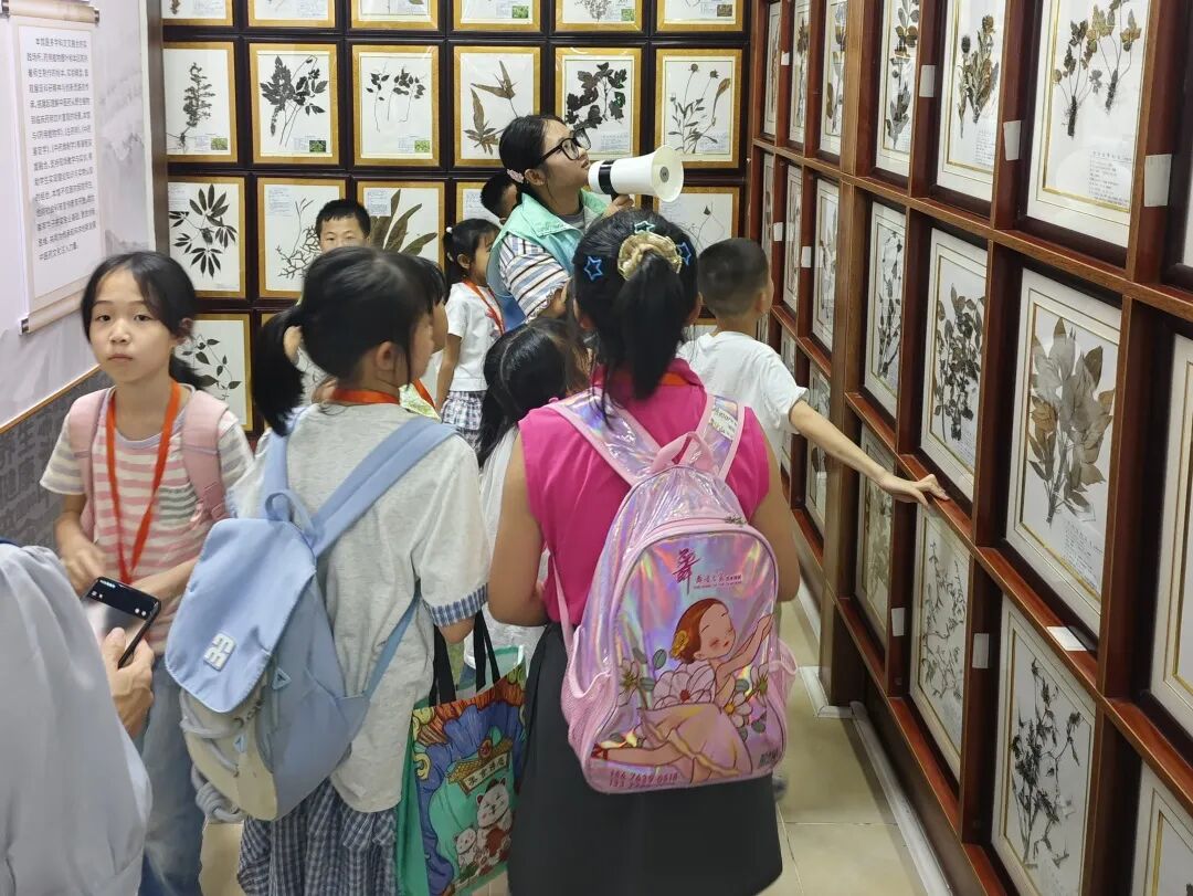 「童心探校,筑梦未来」 | 二附属举办「小春芽」系列活动