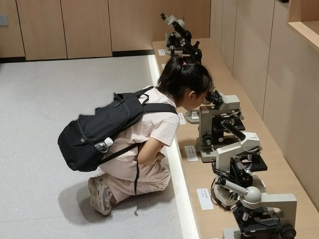 「童心探校,筑梦未来」 | 二附属举办「小春芽」系列活动